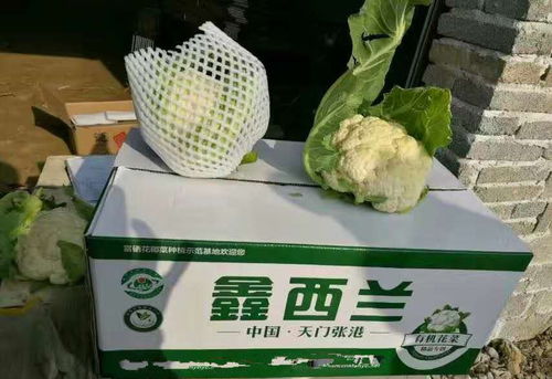 农产品快递保鲜减损两大招 客户满意，售后无忧