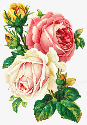 复古手绘花卉素材 工艺品的灵感源泉